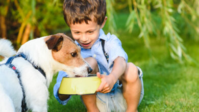 Dog bite prevention tips for parents