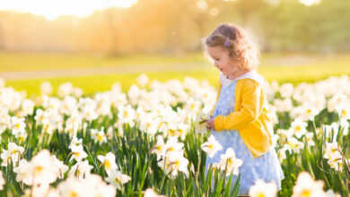 How can you tell if your child has hay fever?