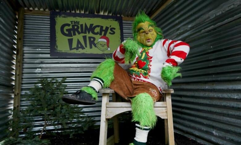 dunk grinch