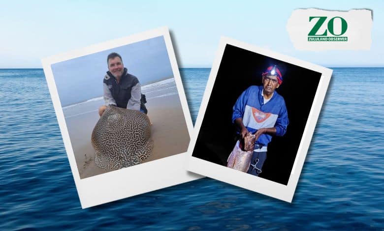 South African anglers dominate international clash as local competitions deliver standout catches