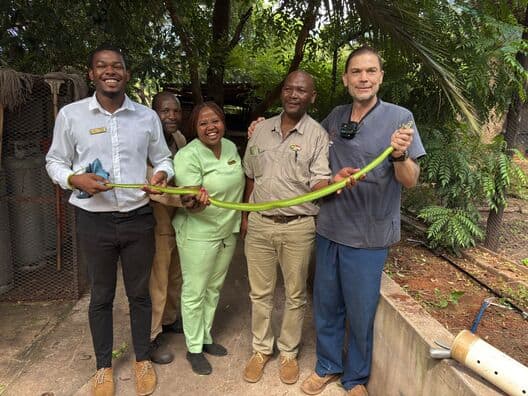 WATCH: Mamba hat-trick for Zululand snake handlers