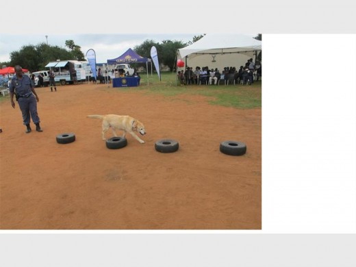 Police display how dogs assist in criminal cases.