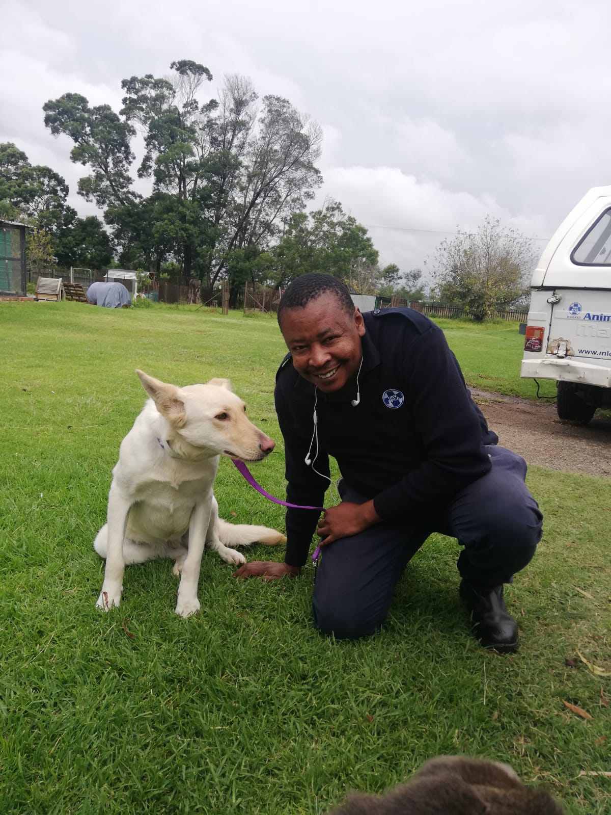 Midrand SPCA appeals to public for dog food donations Midrand Reporter