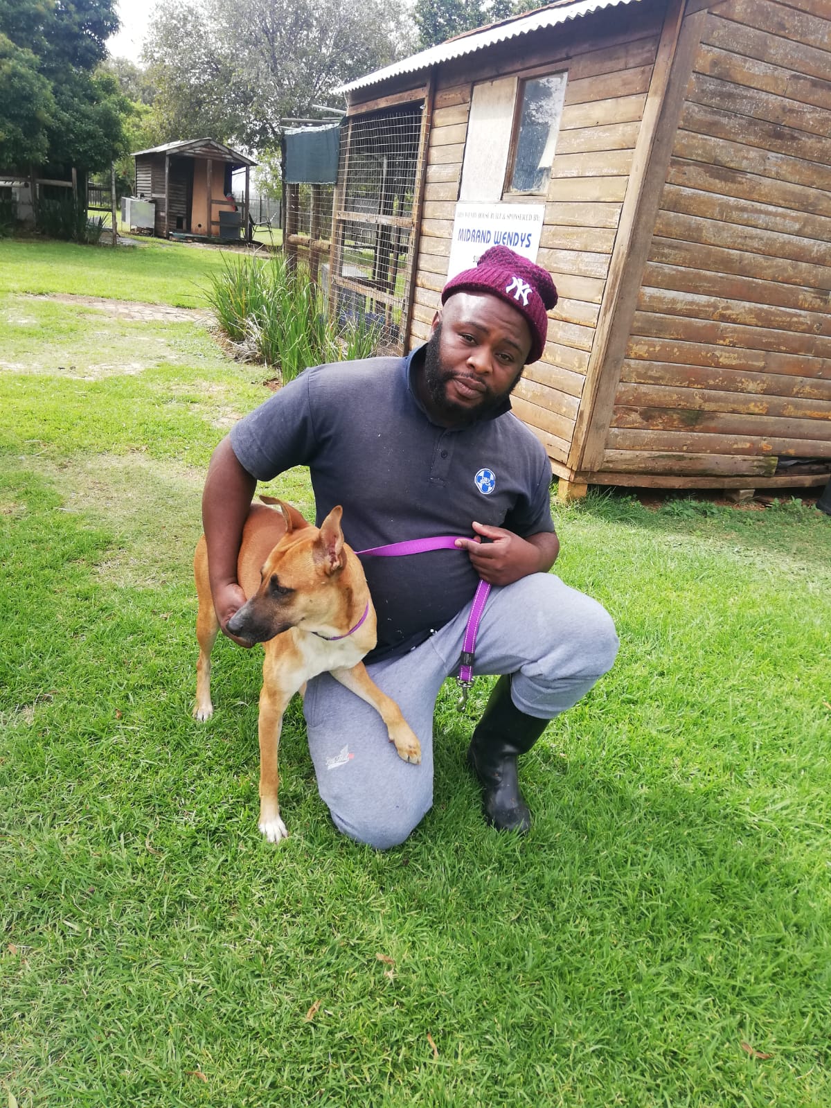 Midrand SPCA appeals to public for dog food donations Midrand Reporter