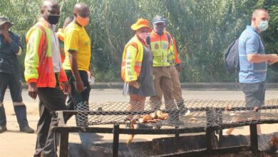 P11PhotoNicholas_87795