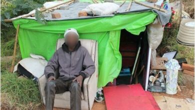 imageedit_2_8421632_35384