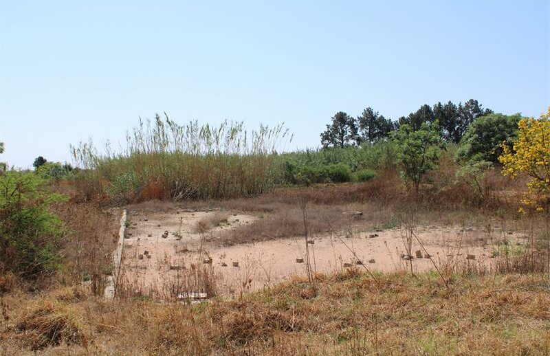 No dump site for Glen Austin residents for the past five years now