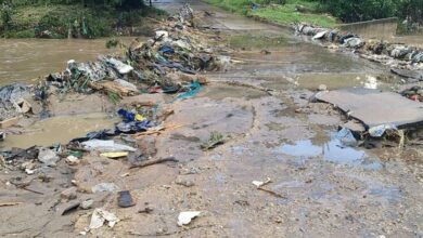 FjOiL8sX0AEieAL_12431