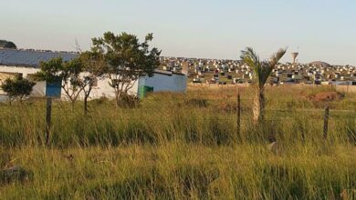 Hundreds of shacks are built on open land which belongs to the city, in Austin View.