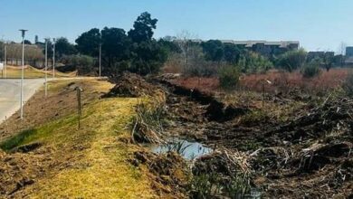 Unisa SBL&s degraded wetland area will soon be restored to its original state.