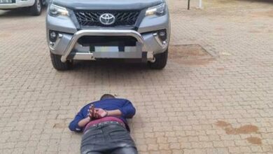Limpopo police apprehended a 33-year-old man suspected of attempting to smuggle a stolen vehicle in Midrand out of South Africa.