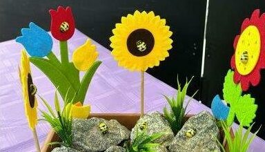 Bee science fair projects from some of the learners.