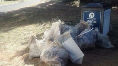 Some of the waste collected recently.