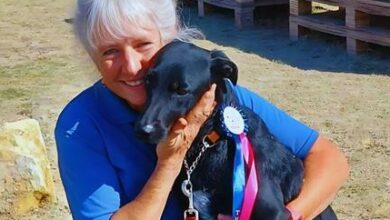 Martie van der Walt and Habibi bagged position three in the advanced level.