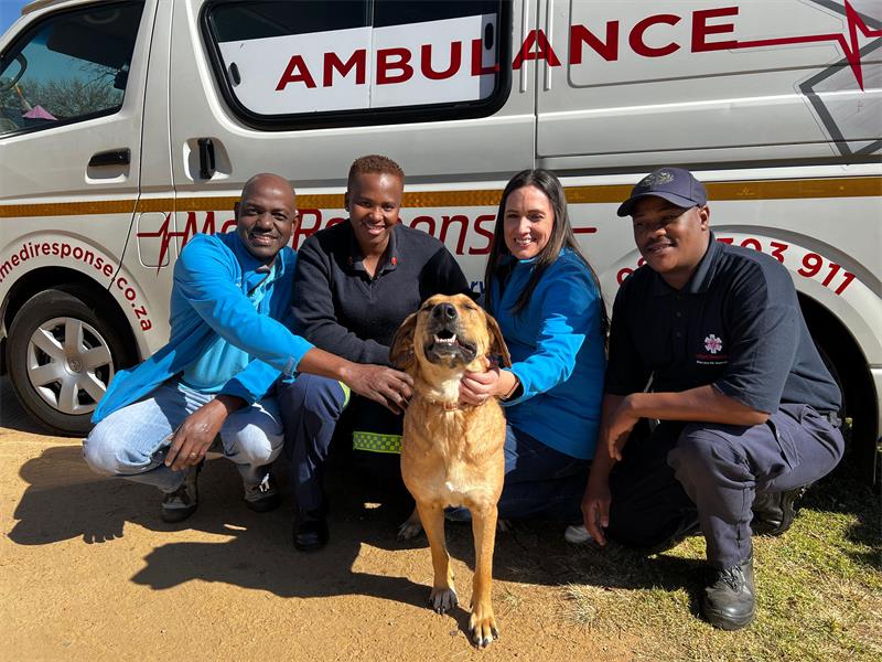 Society for Animals in Distress fundraising manager Keshvi Nair said the event was a reminder of how joyful giving back can be, especially for animals that suffer in silence.