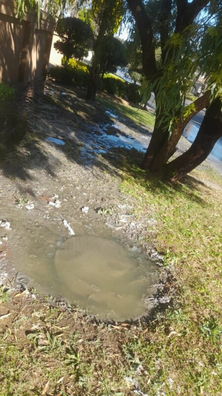 Summerset Estate manager Rhona Rakow said they reported the matter on June 12 and Johannesburg Water only came on June 19 – exactly a week later.