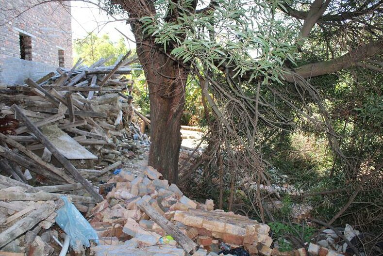 City spokesperson Nthatisi Modingoane said they took the owner to court after their notices were ignored.