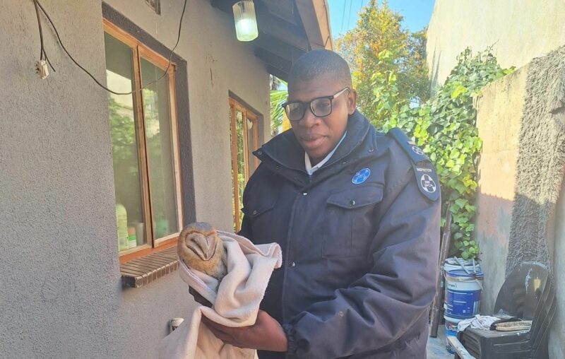 Inspector Jeffrey Mathabela hopes to make in deference in the lives of distressed animals as well as the Midrand community.