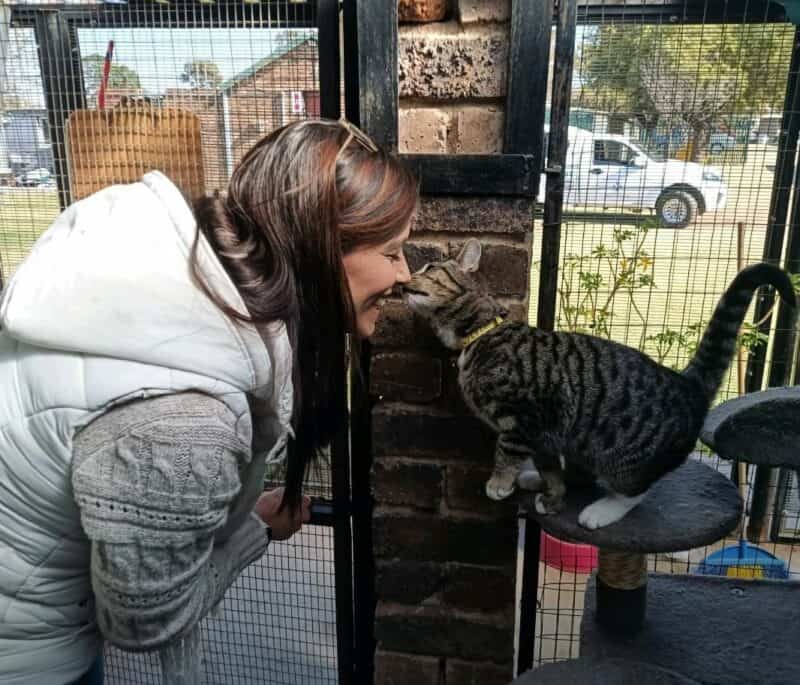 Midrand SPCA AGM sees a new member join the management committee for animal welfare.