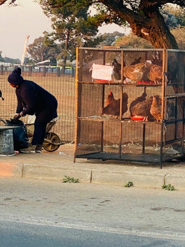 Malcolm James said he understood that people needed to make a living, but urged authorities to enforce by-laws and ensure they have trading permits.