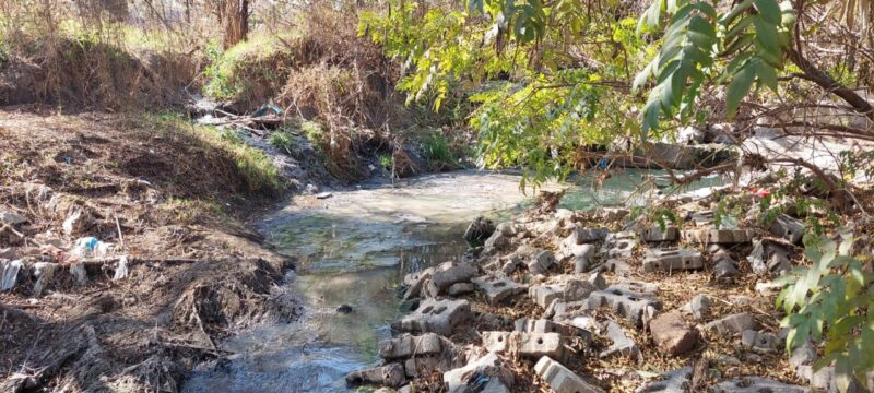 Vorna Valley residents have sounded the alarm over sewage leaks and illegal dumping in the suburb, prompting Ward 132 councillor Annette Deppe to call on authorities to urgently intervene before the situation worsens.