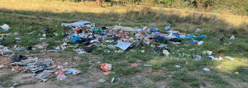 Does the Dale Road Garden site closure perpetuate illegal dumping in President Park?