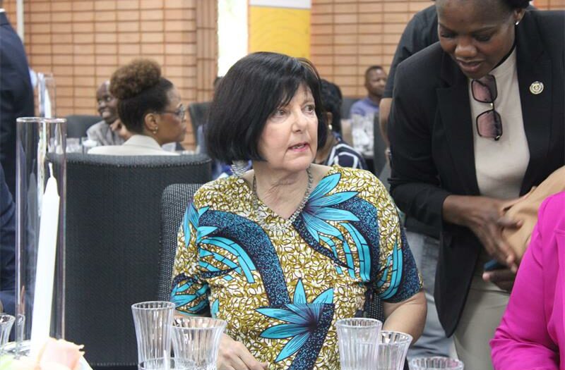 “The ideal is not to drink and drive or drive faster than Formula 1 drivers or overtake carelessly. Nor is it to engage in road rage, and fall asleep at the wheel, among others,” warns the SA government