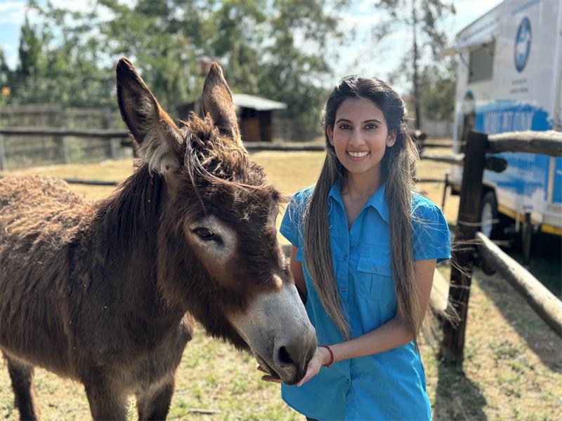 As we enter 2026, the Society for Animals in Distress fundraising coordinator says they are planning to sterilise 2 026 animals.