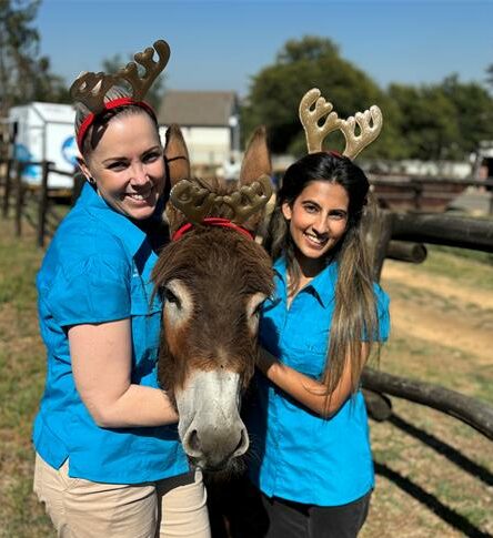 The one health/one welfare principle, of the Society for Animals in Distress CEO Meg Harvey, recognises the wellbeing of animals, people, and the environment being inseperable.