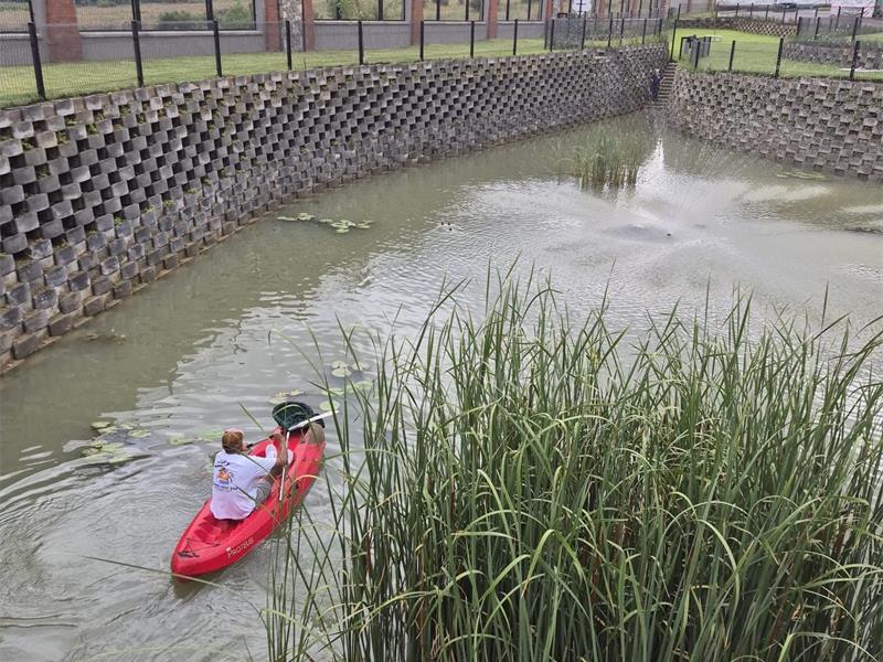 A worried call from a local resident sparked a dramatic rescue at a Waterfall dam, where Midrand SPCA inspectors and community volunteers worked tirelessly to save a group of abandoned ducklings left without their parents for days.