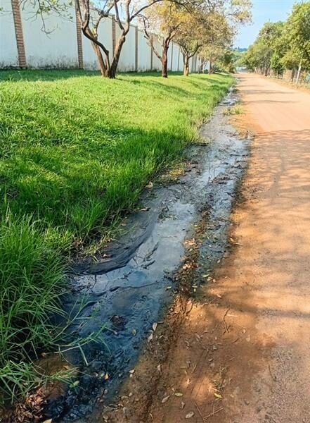 Residents claim a nearby inaccessible property is the source of the black, algae-covered water plaguing State Road.