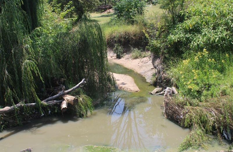 Johannesburg Water responds after repeated complaints from the community, working to restore safe conditions in Vorna Valley Vlei on January 10. Photo: Comfort Makhanya