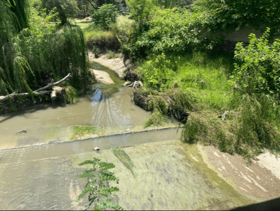 For the fourth time in six months, sewage is flowing into the Vorna Valley vlei, with Ward 132 councillor Annette Deppe saying reports have gone unanswered.