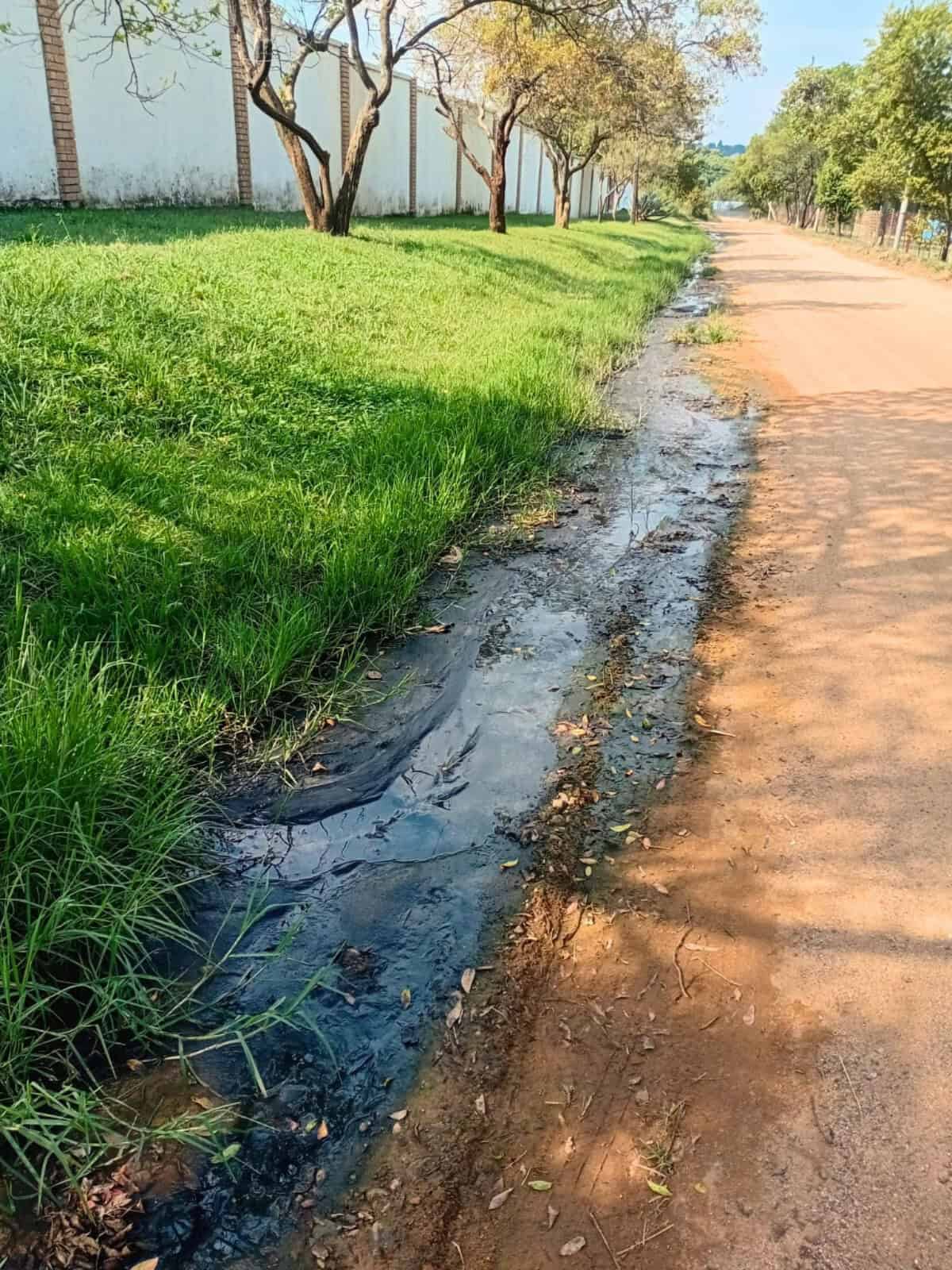 Health concerns mount over contaminated water flow in President Park