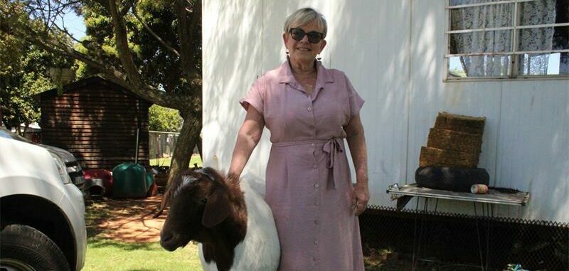 A part of the Midrand SPCA's vital work is educating people on the proper care of animals. Recently, there have been more reports of cruelty to animals, especially when it comes to dog fights, leading to more inspections and interventions by the SPCA.