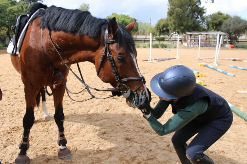Equestrian athlete and winner of the 2025 Toyota World Cup Qualifier gives a deep dive into her passion for horse riding and showjumping.