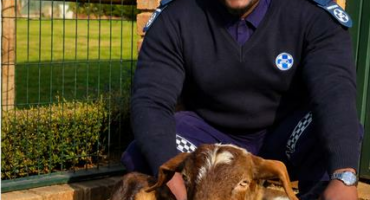Midrand SPCA inspector Richman Sibande with goats Sullivan and Gilbert. Photo: Supplied