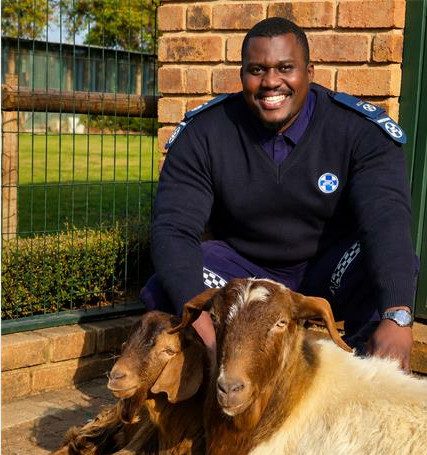 Midrand SPCA inspector Richman Sibande with goats Sullivan and Gilbert. Photo: Supplied