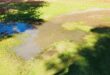 Sewage overflows disrupting daily business operations at Mediotronics. Photo: Zanele Mfaba