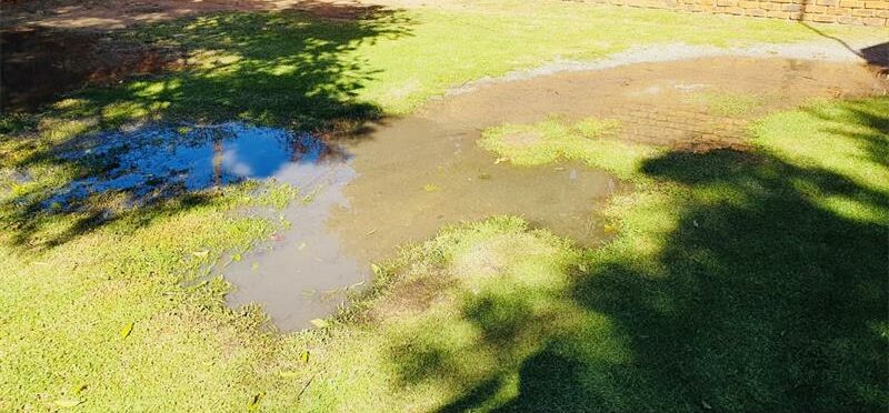 Sewage overflows disrupting daily business operations at Mediotronics. Photo: Zanele Mfaba