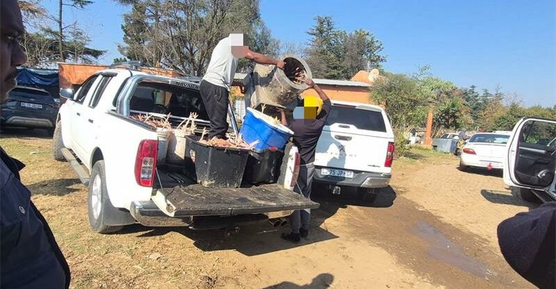 Equipment used at the illegal abattoir is confiscated by authorities following the shutdown of the unlicensed operation. Photo: Supplied