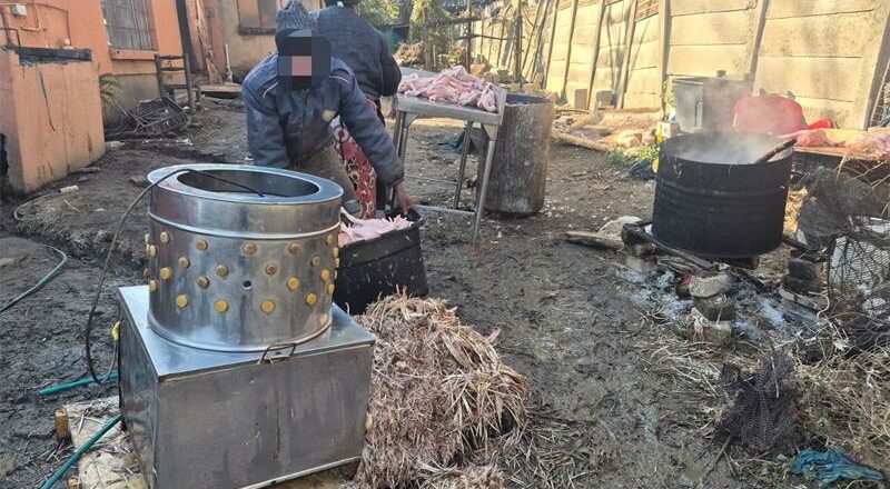 Equipment used at the illegal abattoir is confiscated by authorities following the shutdown of the unlicensed operation. Photo: Supplied