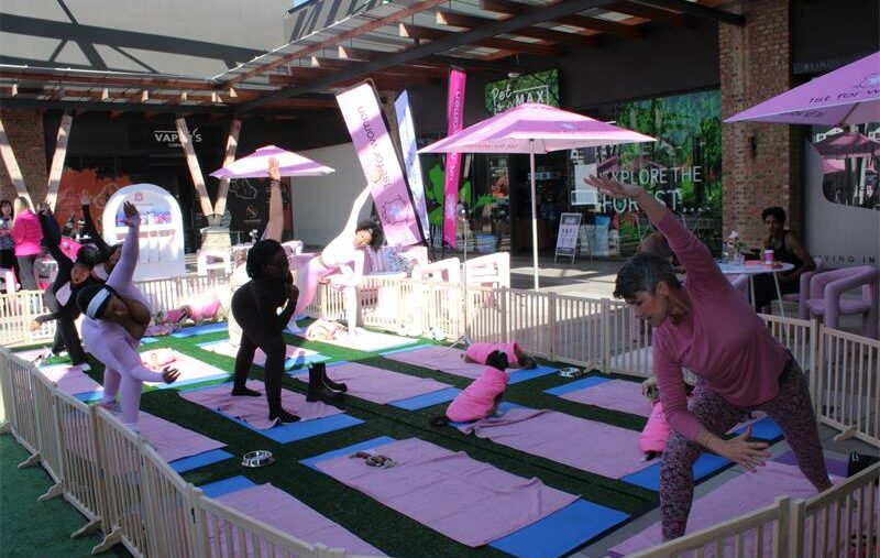 Attendants and the Woodrock puppies enjoy a yoga session with the yoga instructor. Photo: Zanele Mfaba