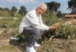 Ward 94 Councillor David Foley holds a tree stump at the Kyalami Garden Refuse Site. Photo: Zanele Mfaba