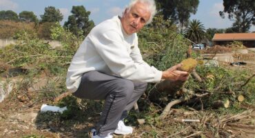 Ward 94 Councillor David Foley holds a tree stump at the Kyalami Garden Refuse Site. Photo: Zanele Mfaba