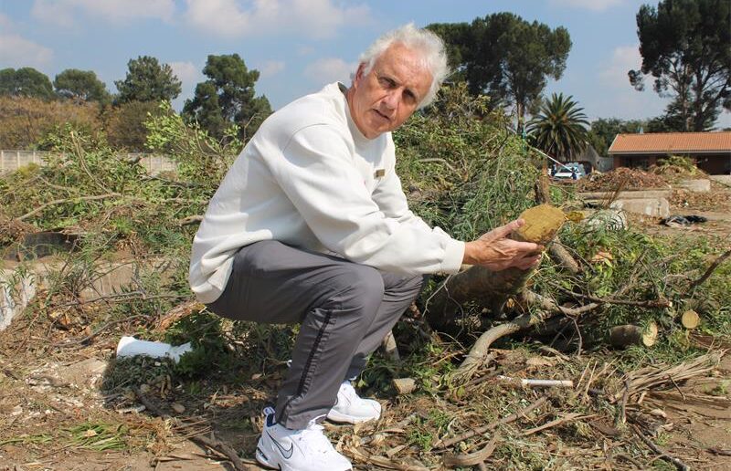 Ward 94 Councillor David Foley holds a tree stump at the Kyalami Garden Refuse Site. Photo: Zanele Mfaba