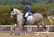 Siobhan Records rides her own horse, Milagre. Photo: Denford Studios