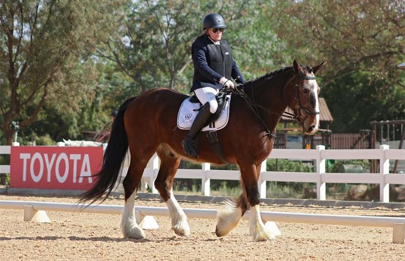 Grade I para-dressage rider Charmaine Watts, riding Sultan, will be competing at the Toyota SA Dressage Championships in September. Photo: Denford Studios