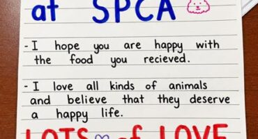 Letter given to the Midrand SPCA by Nizamiye Primary and High School Grade 6A learners on August 18. Photo: Supplied