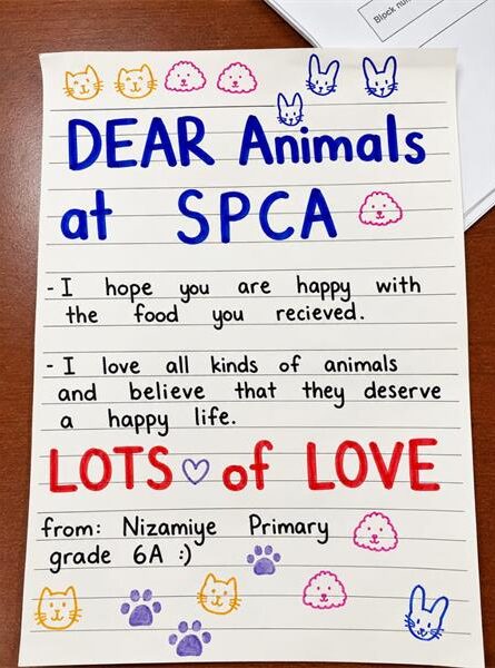 Letter given to the Midrand SPCA by Nizamiye Primary and High School Grade 6A learners on August 18. Photo: Supplied